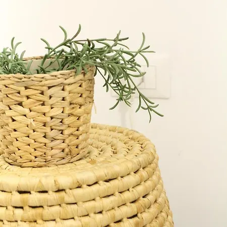Bamboo Pastorelli Milan